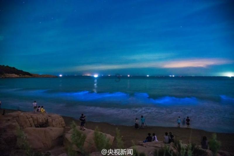 攀登高峰无敌版
