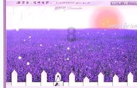 5000块月薪,两女儿,公婆要求再生一胎,我们该何去何从?