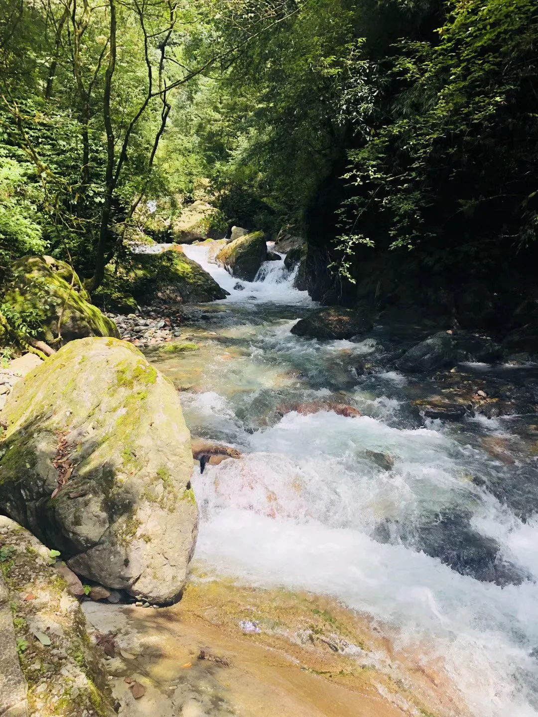 逃出白海豹洞