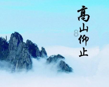 白蚁是蚂蚁吗？游戏画面